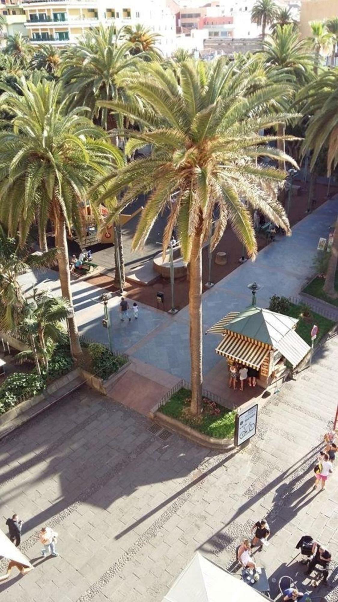 Studio Fuer 3 Personen Ca 40 Qm In Puerto De La Cruz, Teneriffa Nordkueste Von Teneriffa Lägenhet Exteriör bild